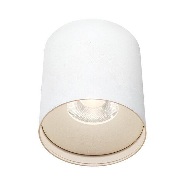 צמוד תקרה צילינדר לבן LISA 18W אור ניטרלי