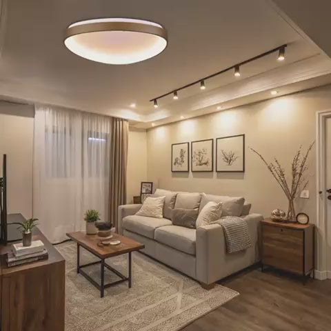 גוף תאורה צמוד תקרה אמורפי מונאקו C2 48W CCT קוטר 65 ס"מ-שחור IG