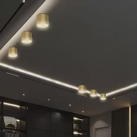 צילינדר זהב KAMILA 12W 3CCT